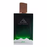 ادوپرفیوم مردانه Mont Bromo مدل Java حجم 100 میلی‌لیتر - نگین عطر