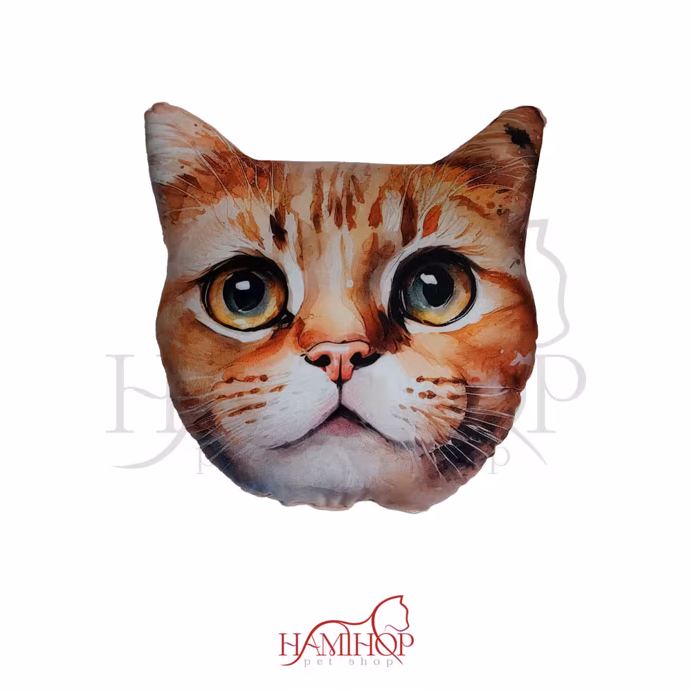 کوسن طرح صورت گربه