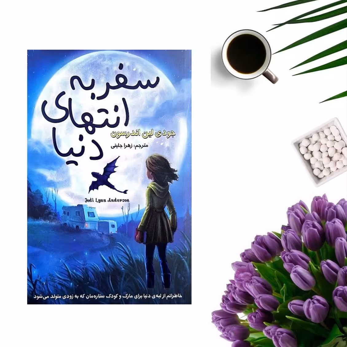 کتاب سفر به انتهای دنیا اثر جودی لین اندرسون انتشارات تلاش اندیشه