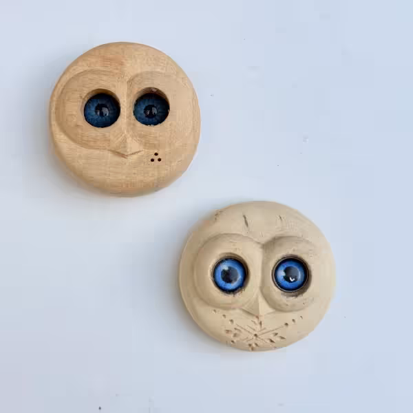 مگنت چوبی جغد دانا طرح پنج