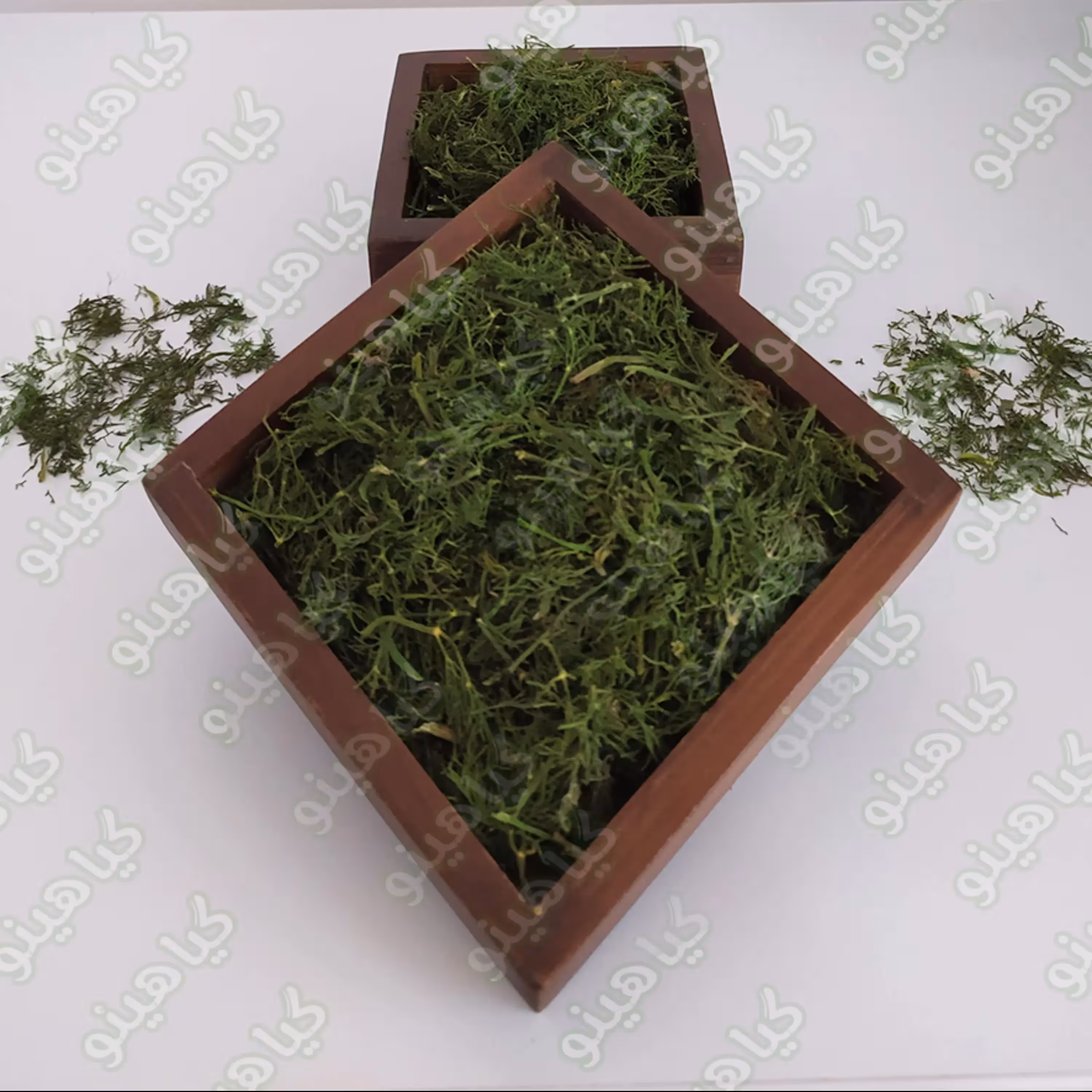 شوید پفکی 250 گرمی گیاهینو