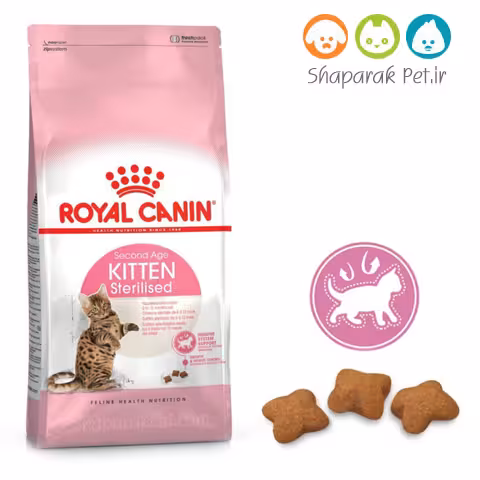 غذای کم کالری بچه گربه رویال