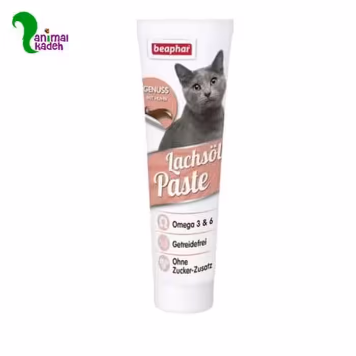 خمیر پیست گربه طعم ماهی برند بیفار 100 گرمی