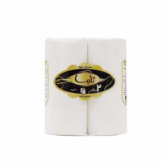 دستمال کاغذی حوله ای تلما بسته 2 عددی