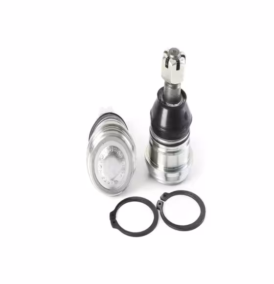 سیبک طبق ماکسیما