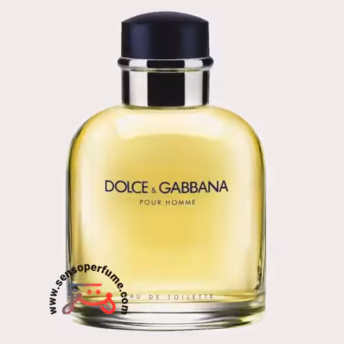 عطر ادکلن دلچه گابانا پور هوم | dolce gabbana pour homme
