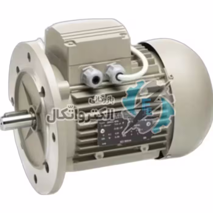 الکتروموتور جت هیتر 0.55kw الکتروژن تک فاز – B5