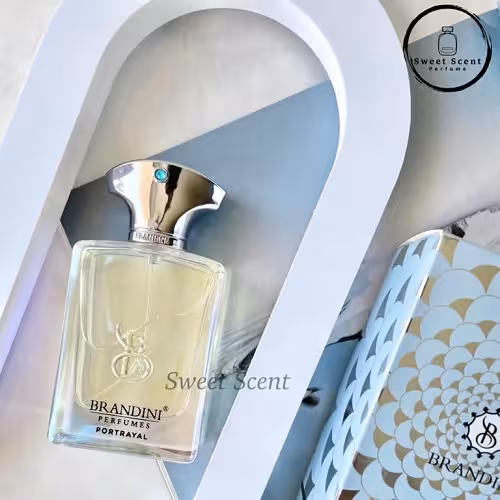 عطر ادکلن مینی آمواج پورترایال مردانه برندینی | Amouage Portrayal Man حجم 33 میل