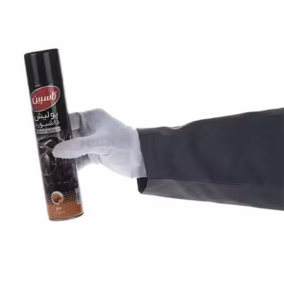 اسپری پولیش داشبورد خودرو کاسپین مدل Mountain &amp; Peach حجم 300 میلی‌ لیتر مجموعه 2 عددی