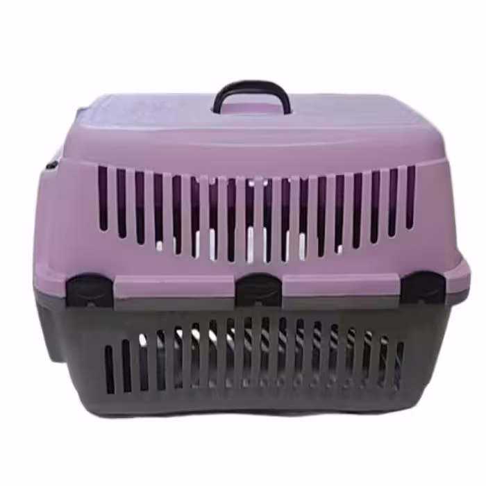 باکس سگ مدل مندی