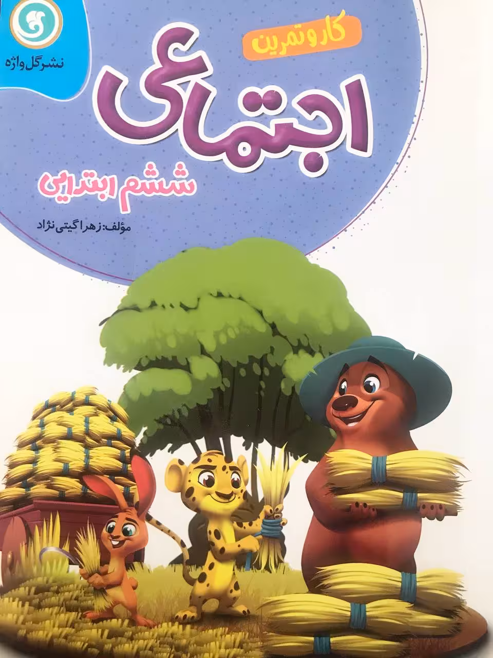 کار و تمرین اجتماعی ششم گل واژه