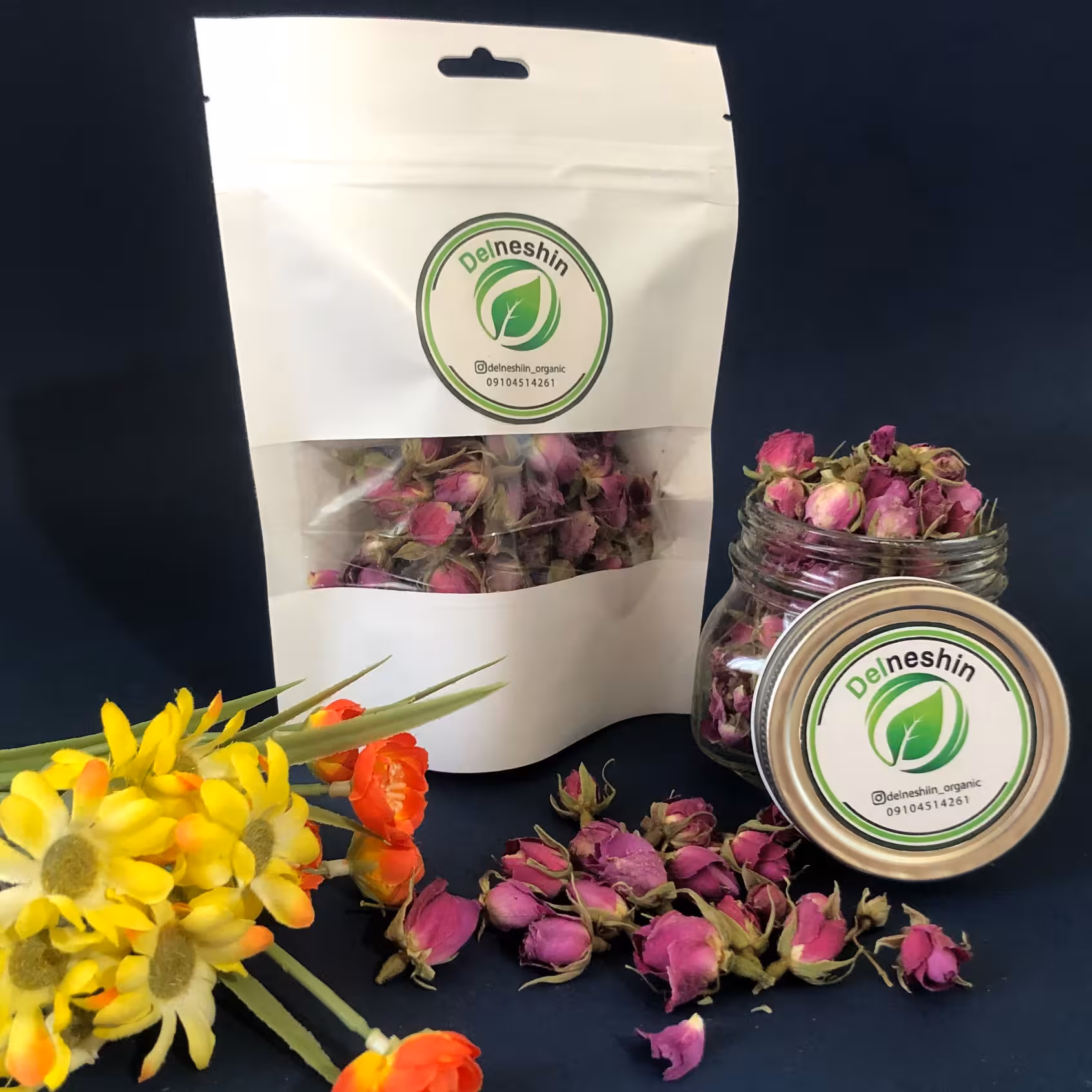 غنچه گل محمدی دلنشین 