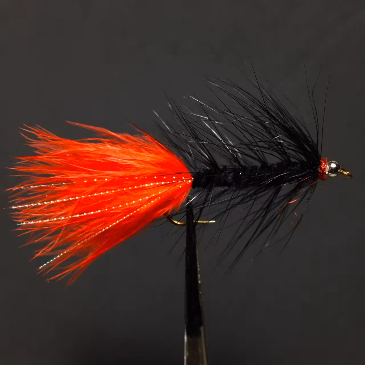 پشه فلای وولي باگر مشكي دم قرمز (بسته 5 عددی)