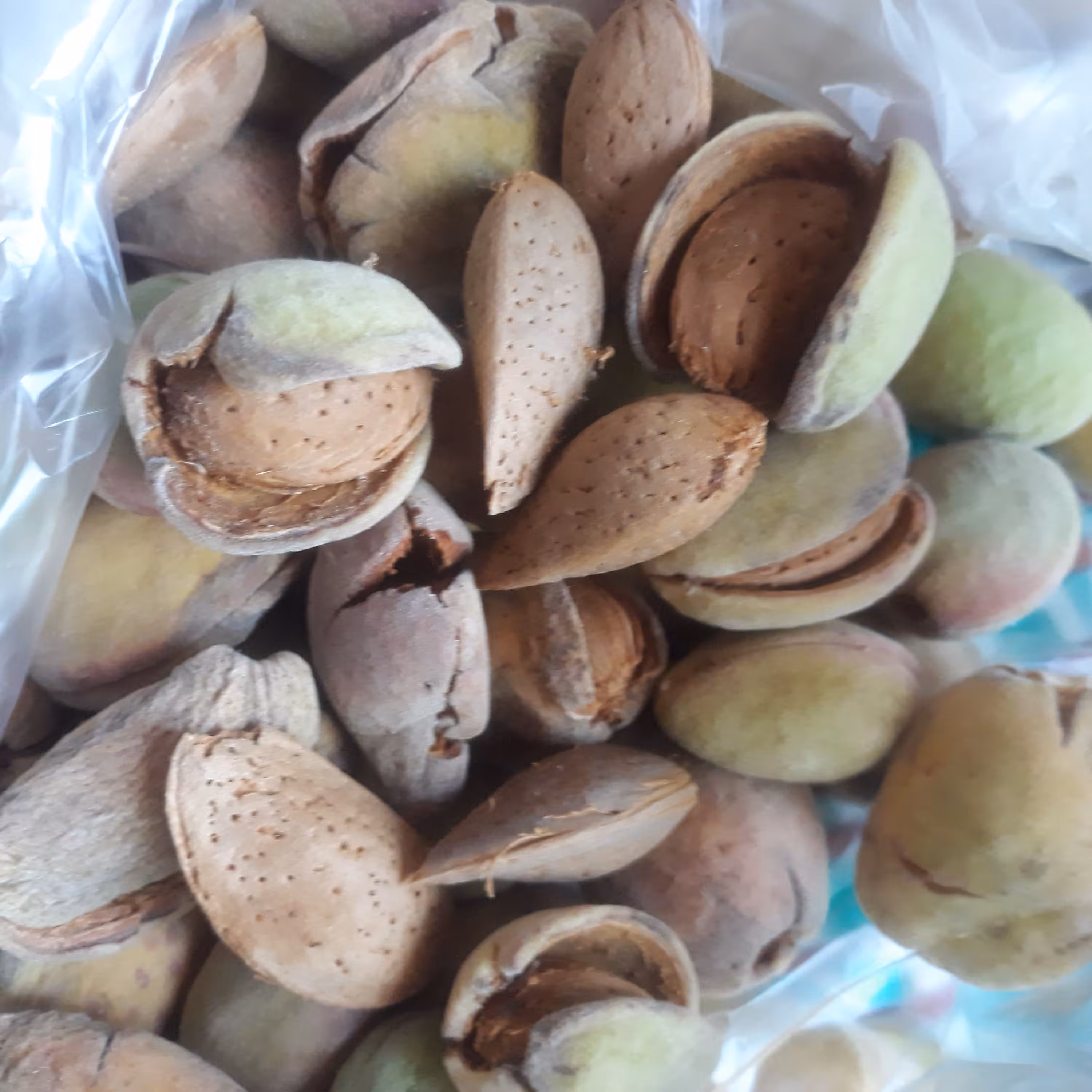 بادام چهار کیلویی