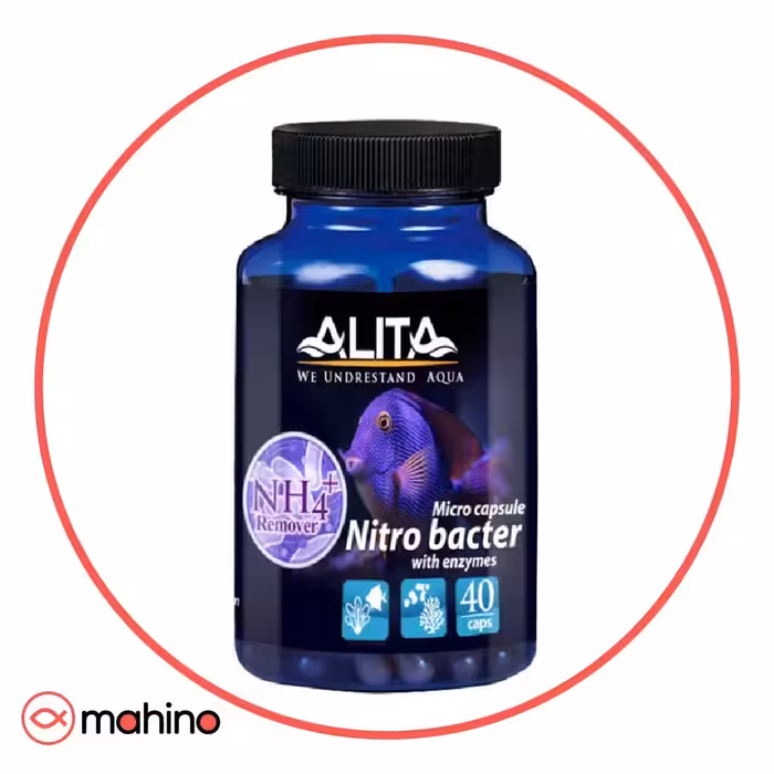 کپسول باکتری آلیتا