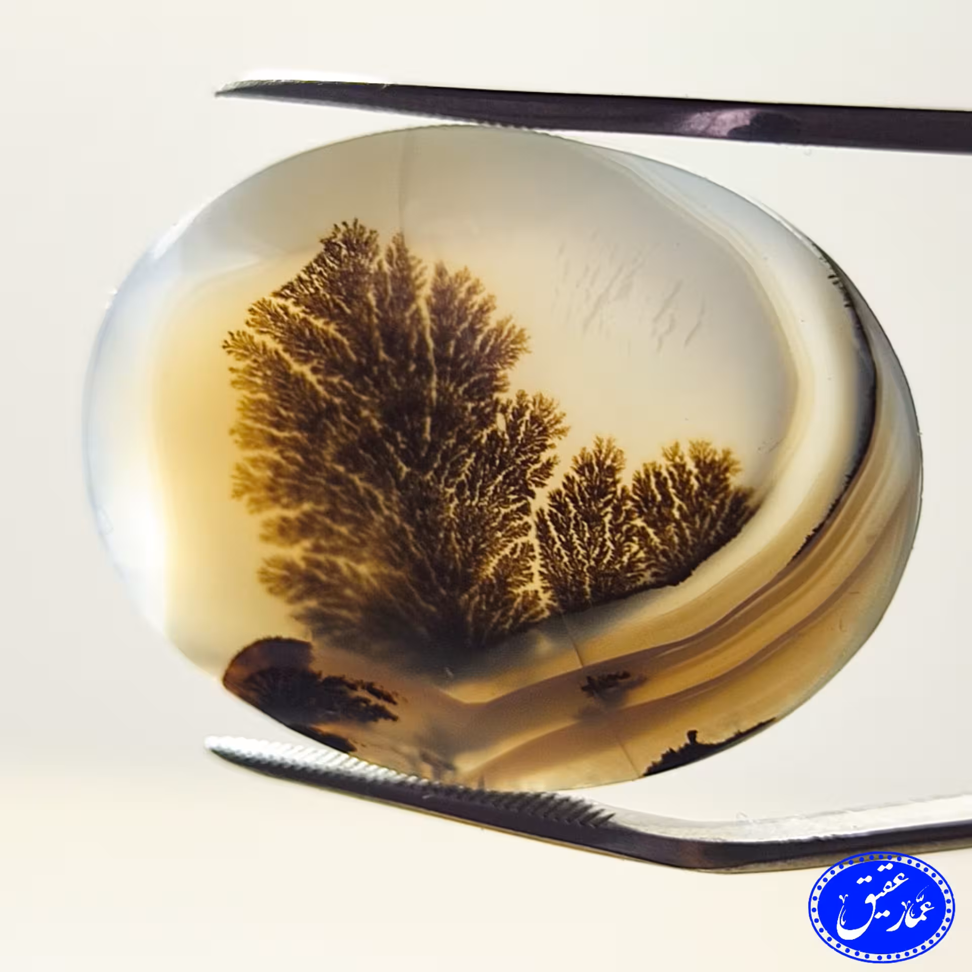 عقیق شجر درخت پر و ریز نقش با زمینه سفید و خاکدار