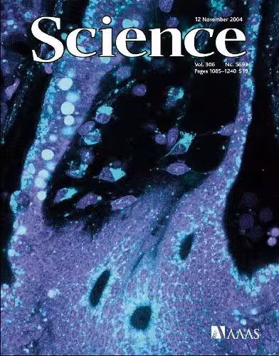 خرید و دانلود نسخه کامل کتاب Science (Vol. 306, No. 5699, November 2004)