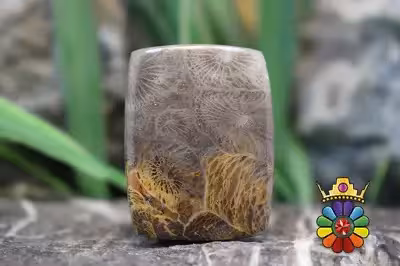 موروکو فسیل