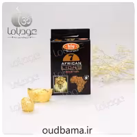 عود 7 شیر آفریقایی 7AFRICAN LION ( بیک BIC ) مخروطی