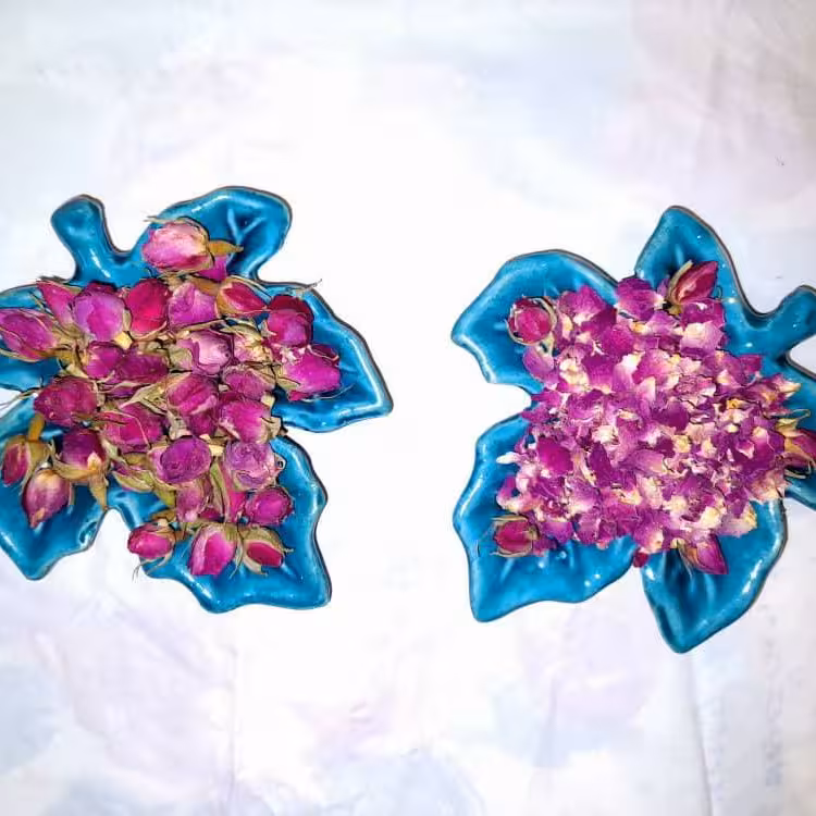 پر گل محمدی و غنچه گل محمدی