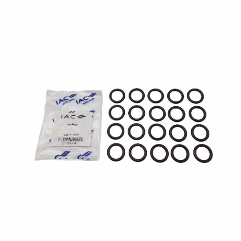 اورینگ پمپ IAC (20عددی)