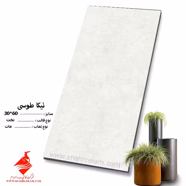 کاشی نیکا طوسی 60*30 صدرا سرام