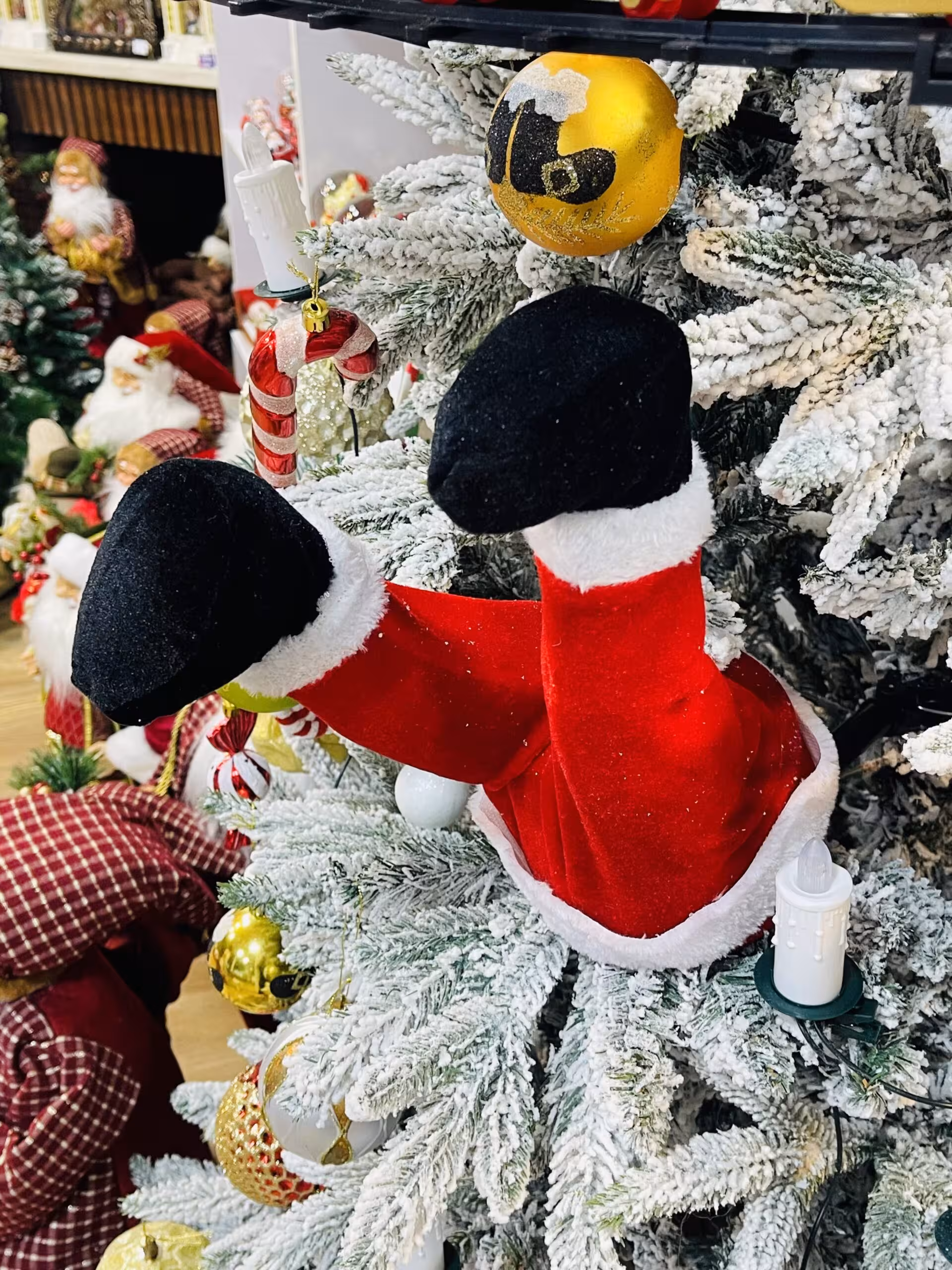 پای بابانوئل متحرک داخل درخت کریسمس