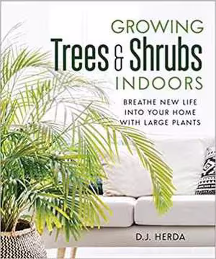󾕇 دانلود کتاب Growing Trees And Shrubs Indoors - Breathe New Life Into Your Home With Large Plants, 2019 - دانلود کتاب های دانشگاهی