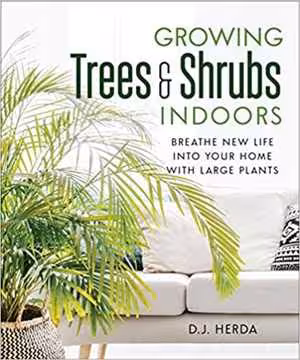 󾕇 دانلود کتاب Growing Trees And Shrubs Indoors - Breathe New Life Into Your Home With Large Plants, 2019 - دانلود کتاب های دانشگاهی