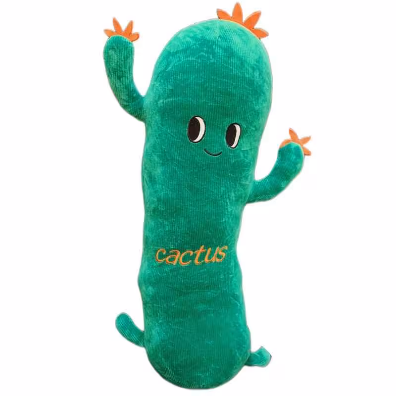 کوسن کاکتوس سایز 2 خارجی