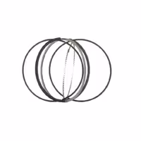 رینگ پیستون بنز C200 W203