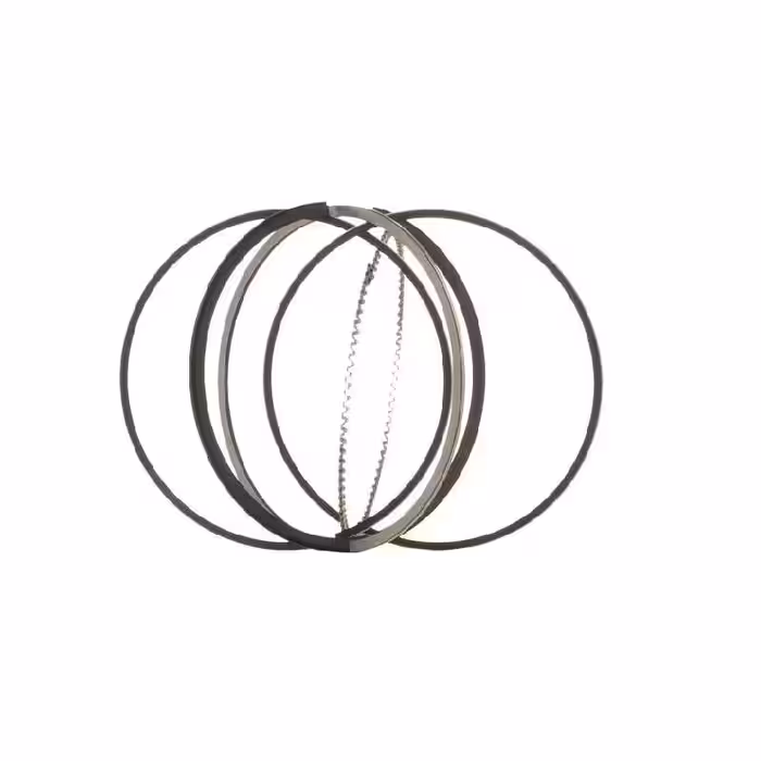 رینگ پیستون بنز C200 W203