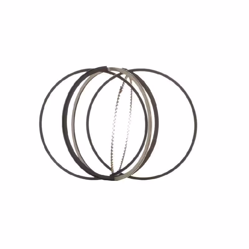 رینگ پیستون بنز C200 W203