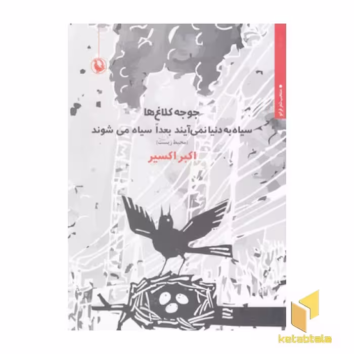 کتاب جوجه کلاغ ها سیاه به دنیا نمی آیند اثر اکبر اکسیر نشر مروارید