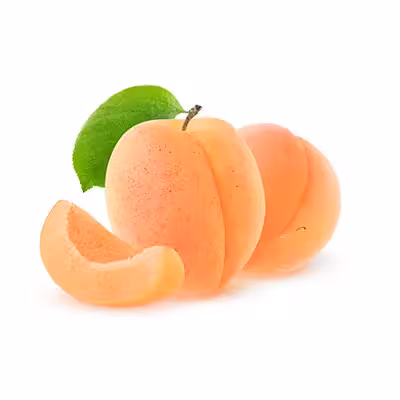 نهال زردآلو نخجوان