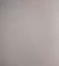 بک دراپ چوبی تکرنگ کد 283 (در 3 سایز)