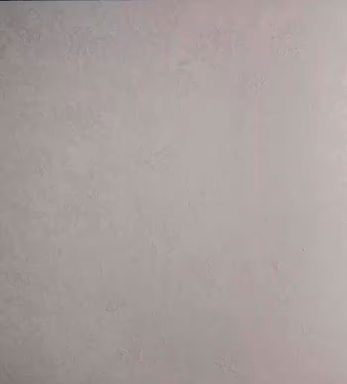 بک دراپ چوبی تکرنگ کد 283 (در 3 سایز)