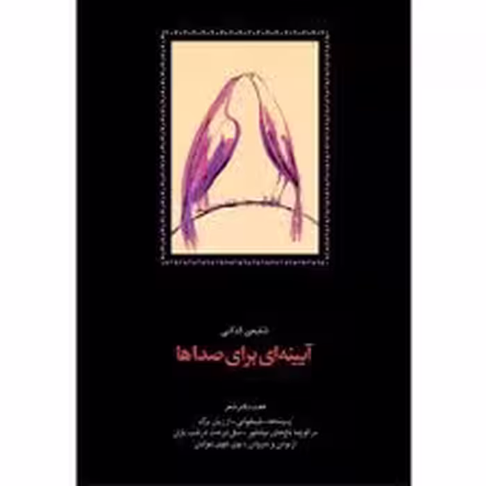 كتاب آيينه اي براي صداها نشر سخن