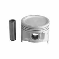 پیستون با گژن پین (025) نیسان دینا پارت کد 1902101