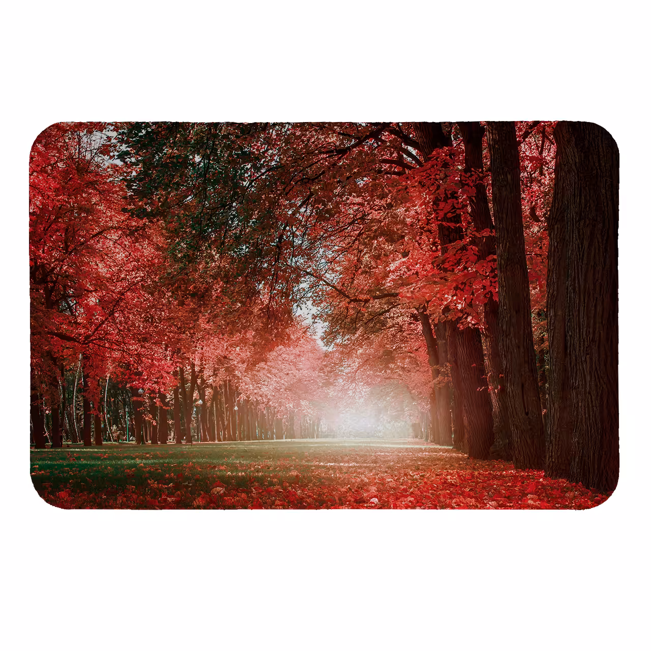  رطوبت گیر کنار سینک کد 157