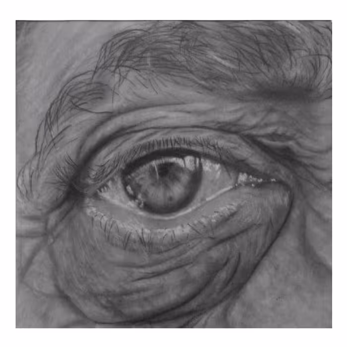 نقاشی سیاه قلم طرح چشم پیر