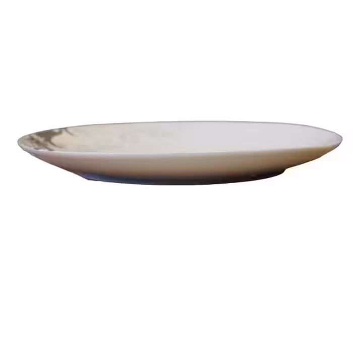 بشقاب غذا خوری مدل 4045.10.5 بسته 6 عددی