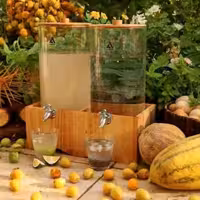 کلمن موناکو دوقلو ساده