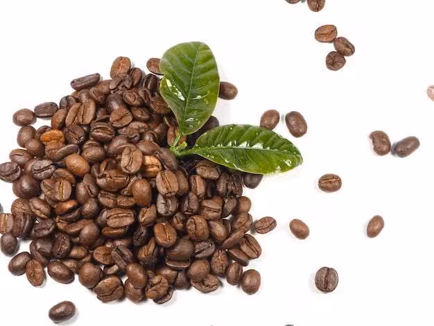 پودر  قهوه عربیکا ویژه مدیوم