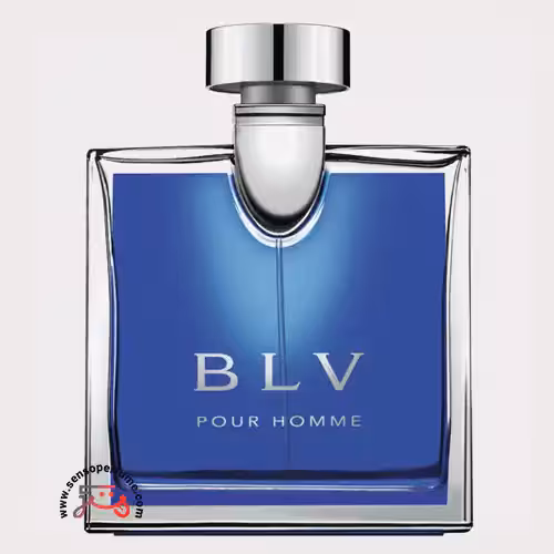 عطر ادکلن بولگاری بی ال وی مردانه | bvlgari blv pour homme
