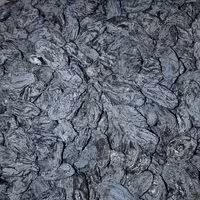 مویز  بدون هسته ازبکستانی