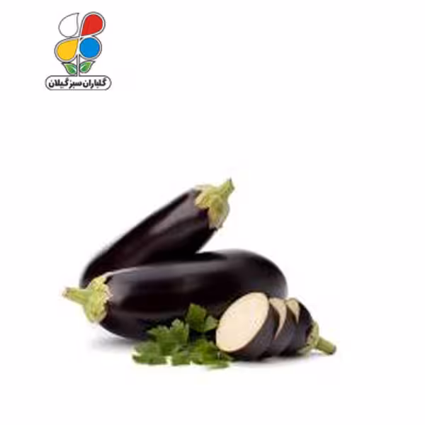 بذر بادمجان قلمی بسته بندی بزرگ