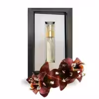 عطر عود صندل اکسیر ر (5 گرم)