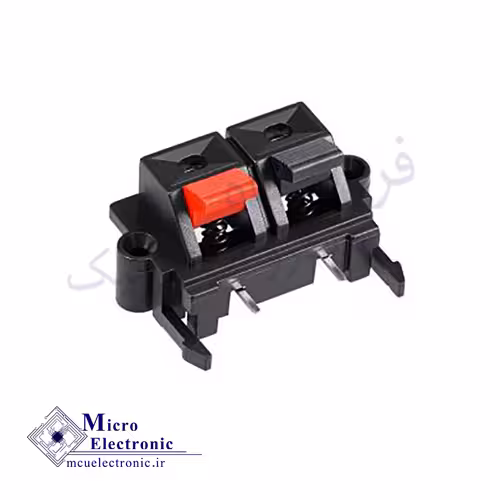 ترمینال فشاری پشت باندی 2 تایی پیچ خور