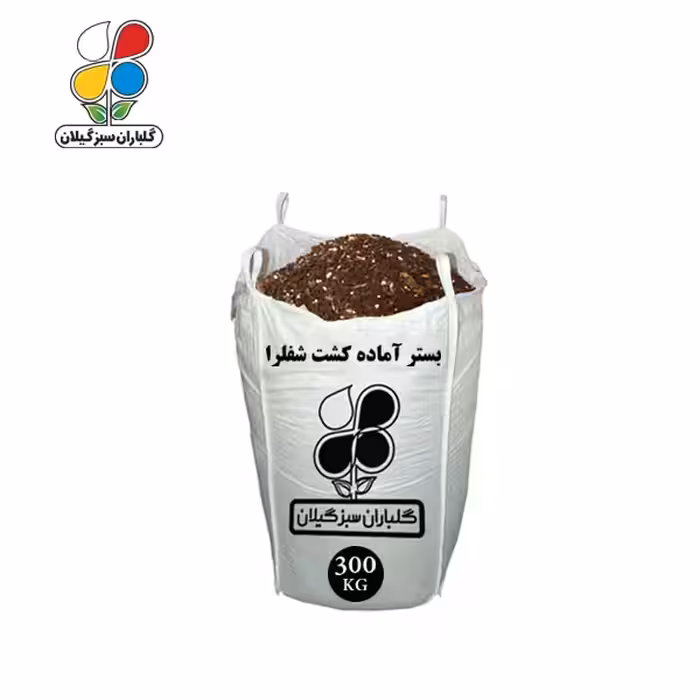 بستر آماده کشت شفلرا فله 300 کیلویی